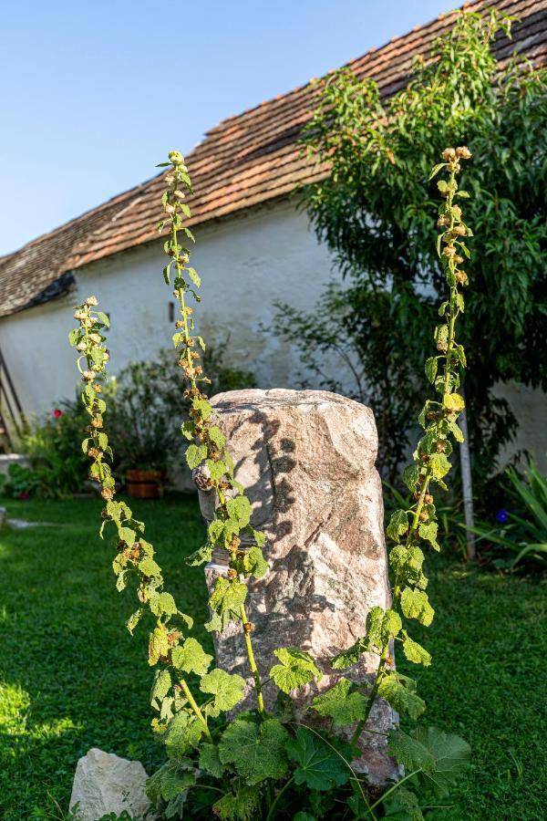 Weissenbacherhof Oslip Εξωτερικό φωτογραφία