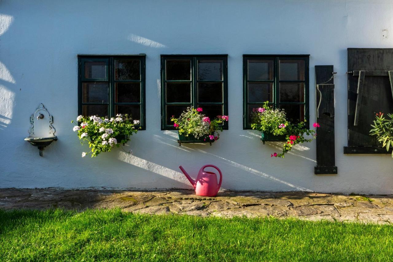 Weissenbacherhof Oslip Εξωτερικό φωτογραφία